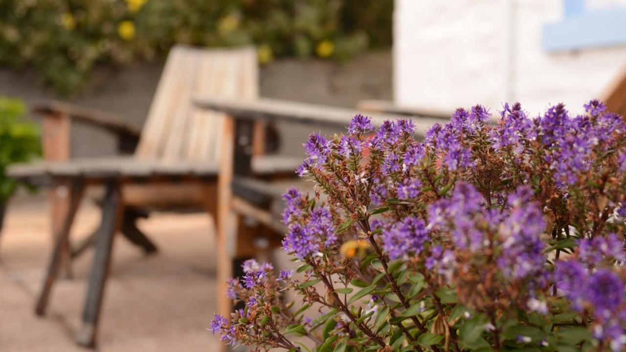 Bed and Breakfast Springbank Mallaig Esterno foto